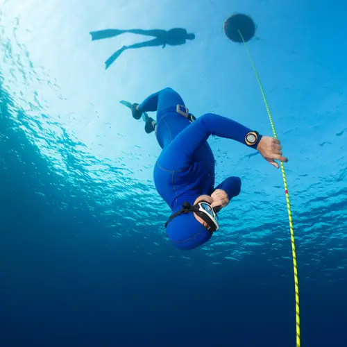 PADI Freediver