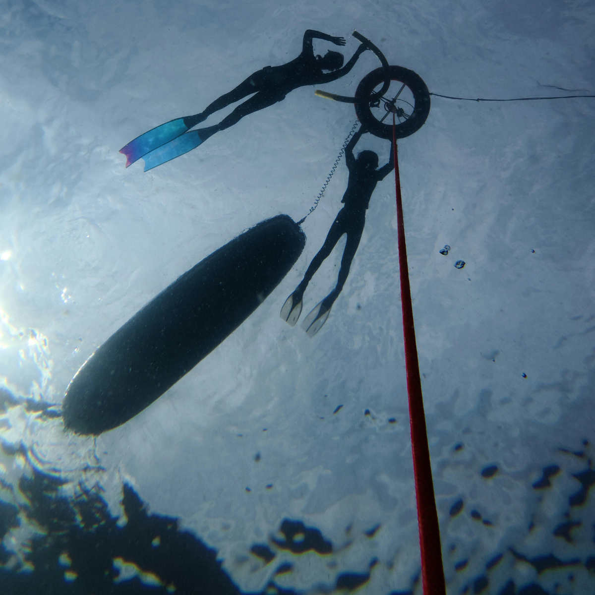 Freediving Line Dive Training