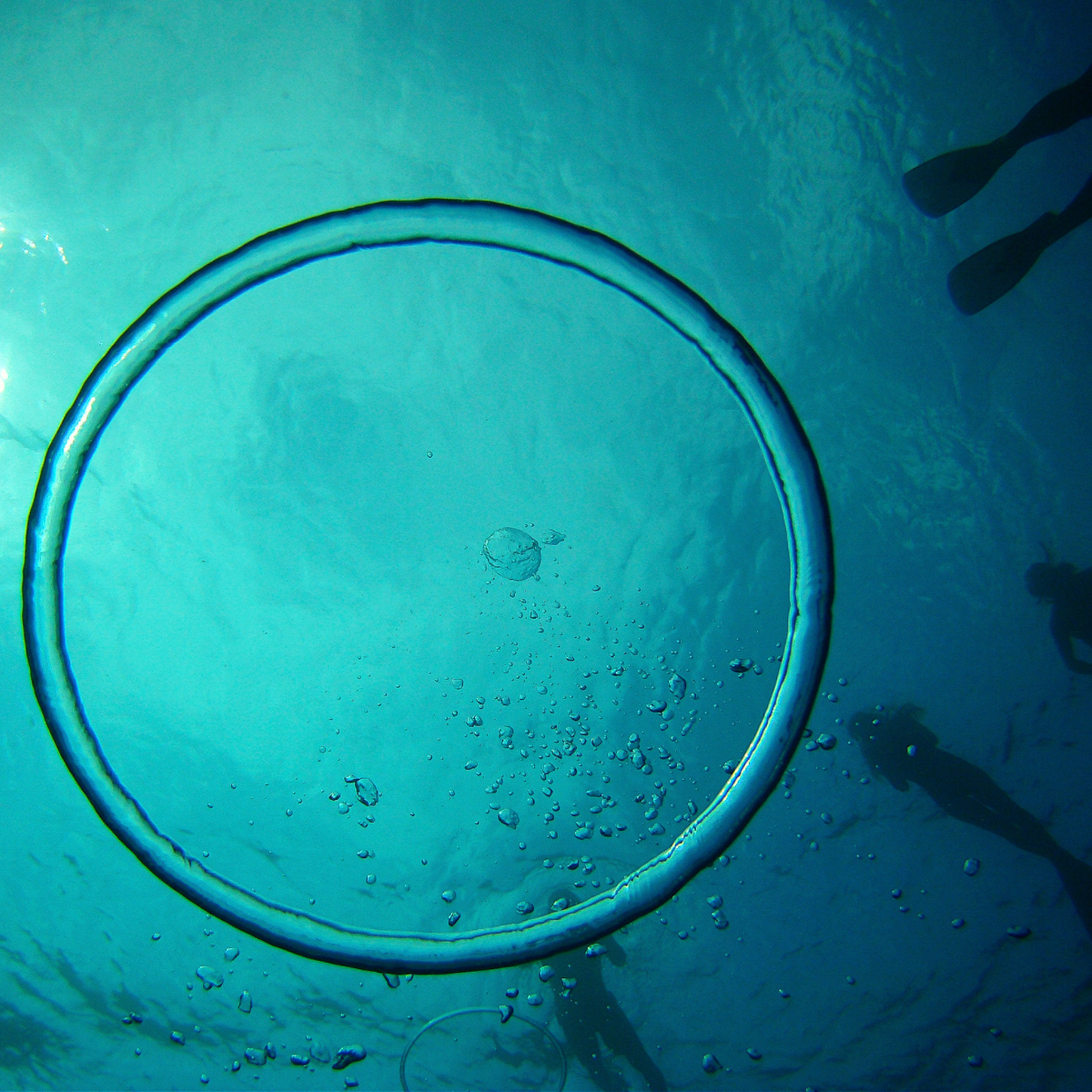 Freediving Coaching · Open Water