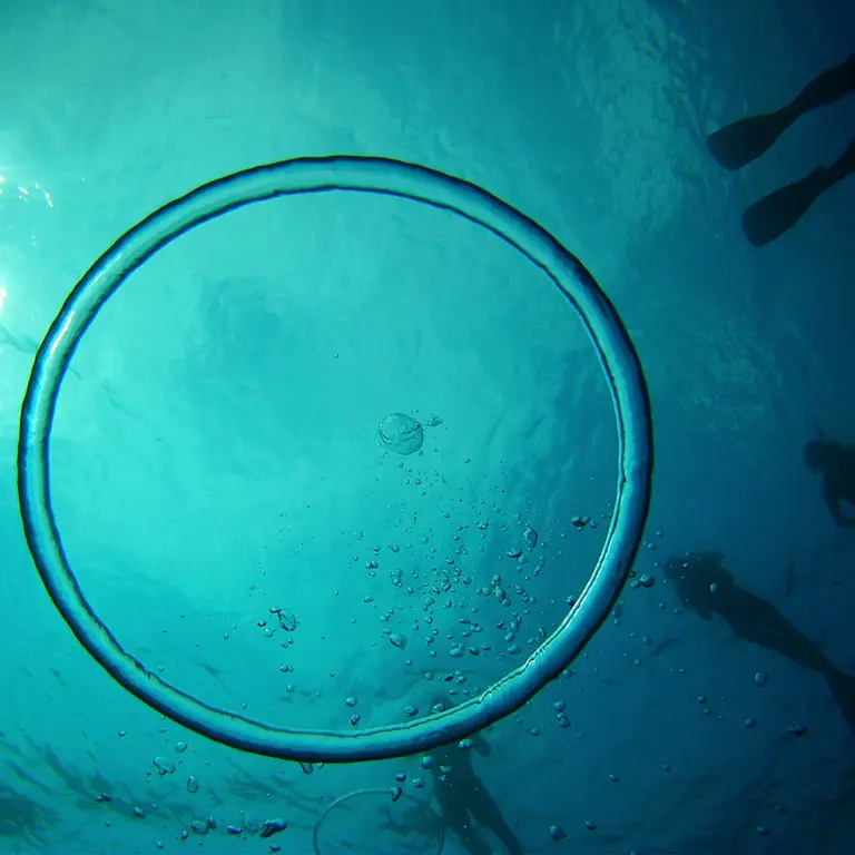Freediver on the buoy line with coach feedback in open water