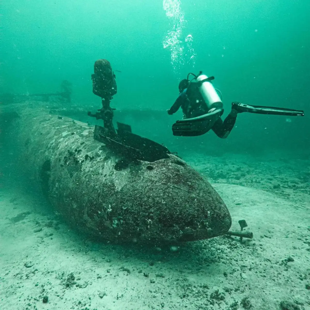 Exploring the Wonders of The Tribird Wreck Dive In Boracay