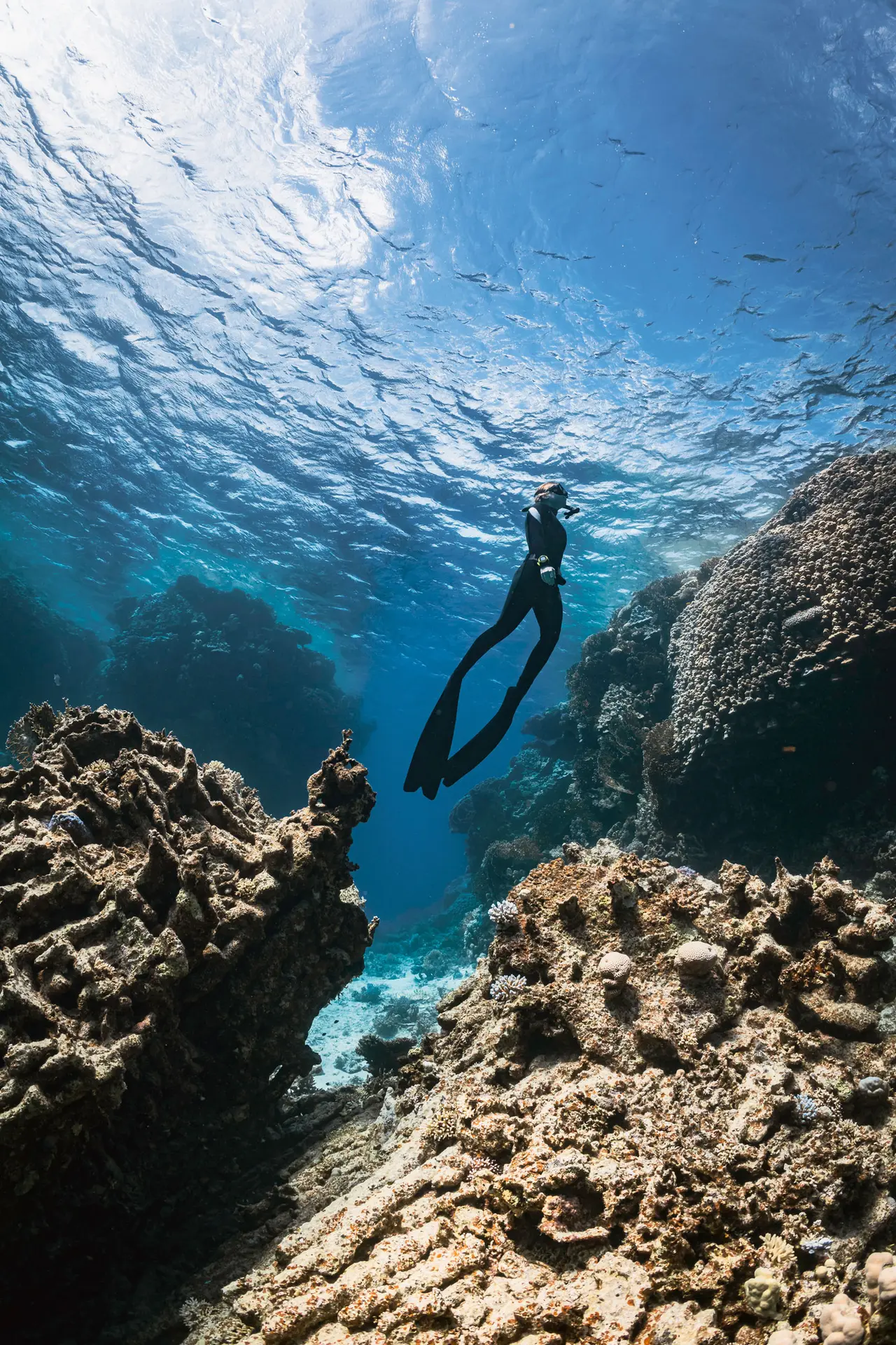 A certified freediver training calmly on the line in Boracay's blue water