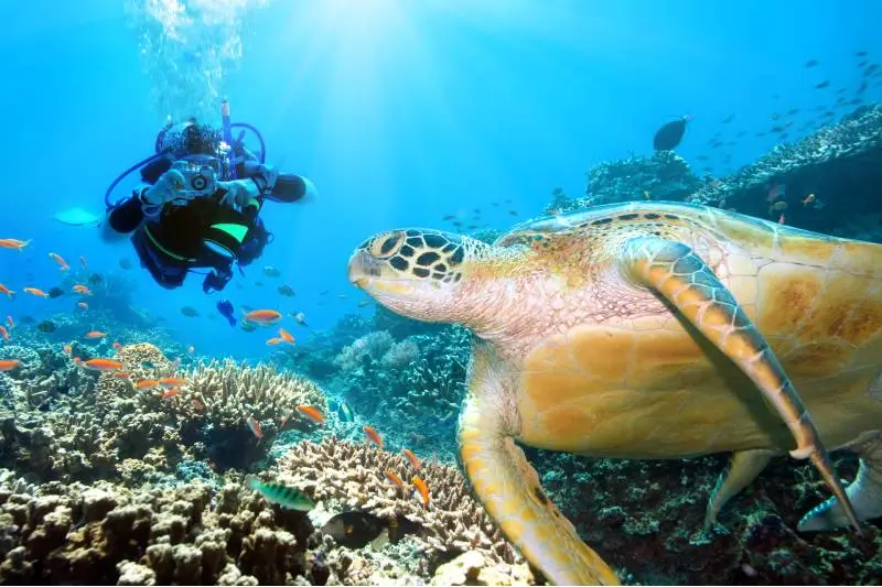 Scuba Diving in Boracay in July: A Tropical Underwater Adventure