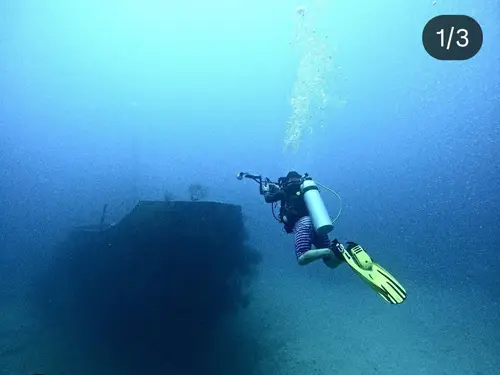 Camia II dive — January 14, 2026