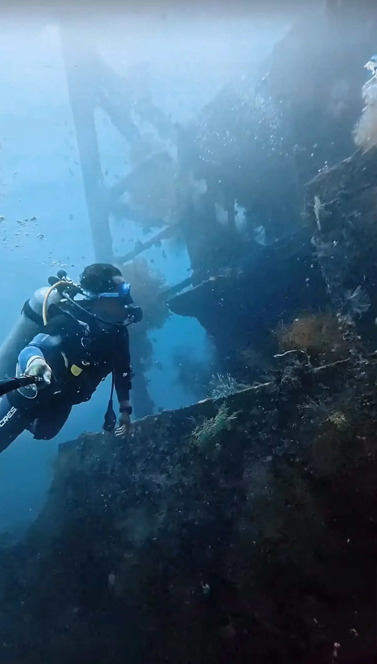 Camia 2 Wreck dive — Jun 27, 2025