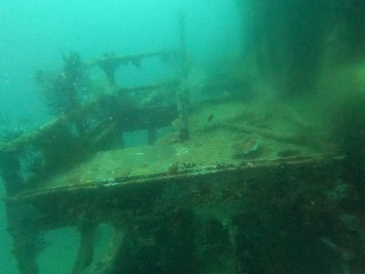 Camia 2 Wreck dive — Oct 12, 2024