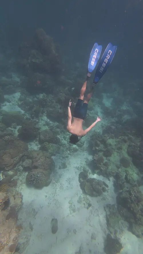 Coral Garden dive — August 2, 2025