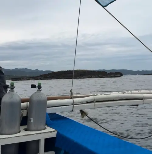 Crocodile Island dive — June 5, 2026