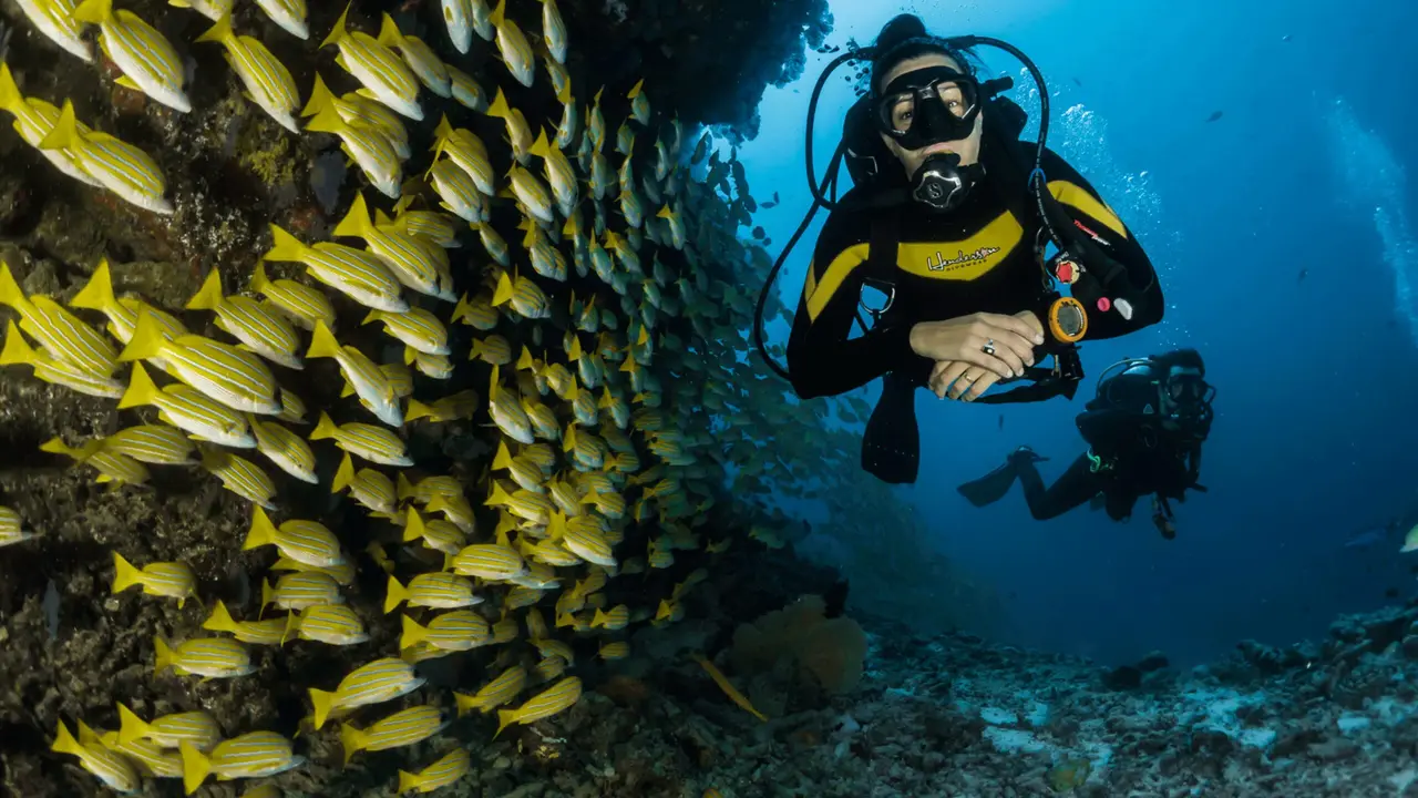 Two divers exploring a Boracay reef together