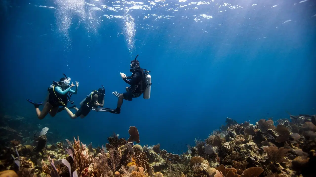 Three divers gliding over a Boracay reef in clear blue water