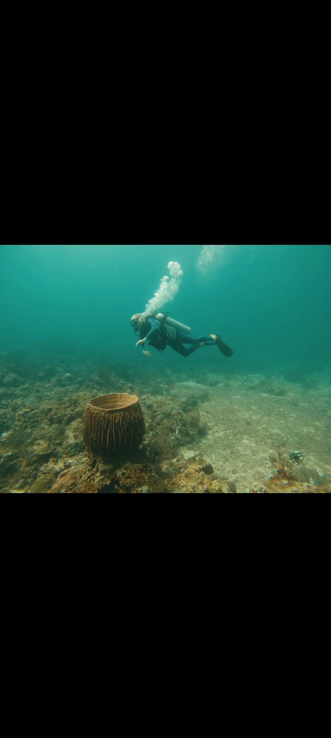 Friday's Reef dive — Apr 6, 2025
