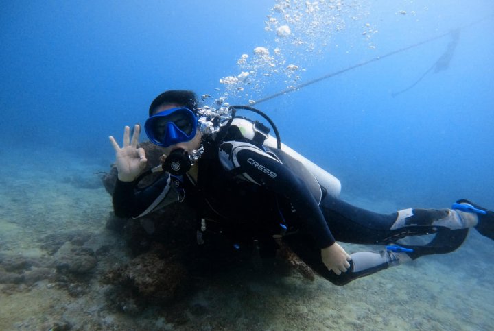 Friday's Reef dive — Oct 18, 2024