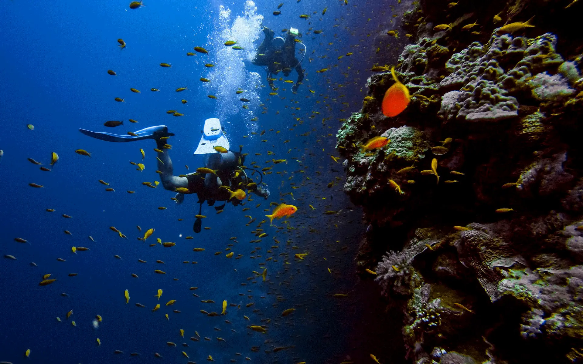Fun Dive · 3-Dive Pack