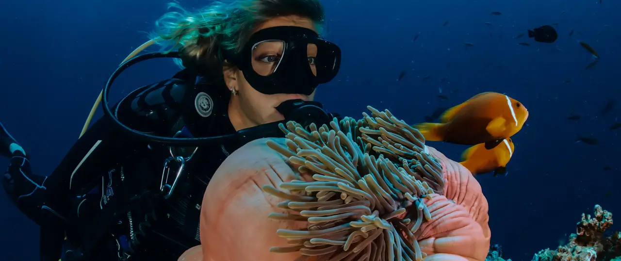 Boracay diving