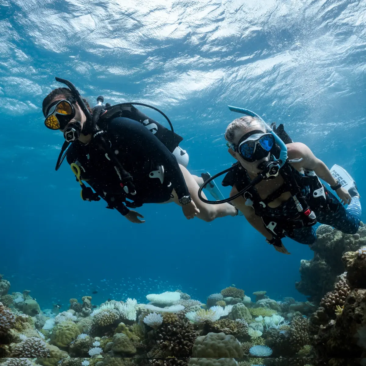 A PADI student diving over a Boracay reef with their instructor