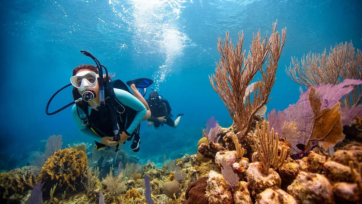 Two divers exploring a Boracay reef together