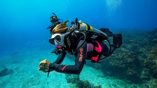 Fun Dive