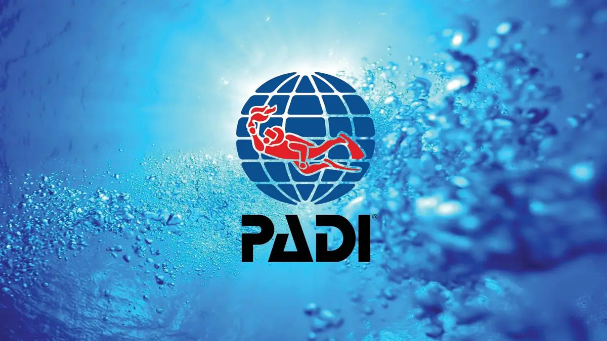 Dive Training in Boracay: Courses and Certifications Offered by New Wave Divers