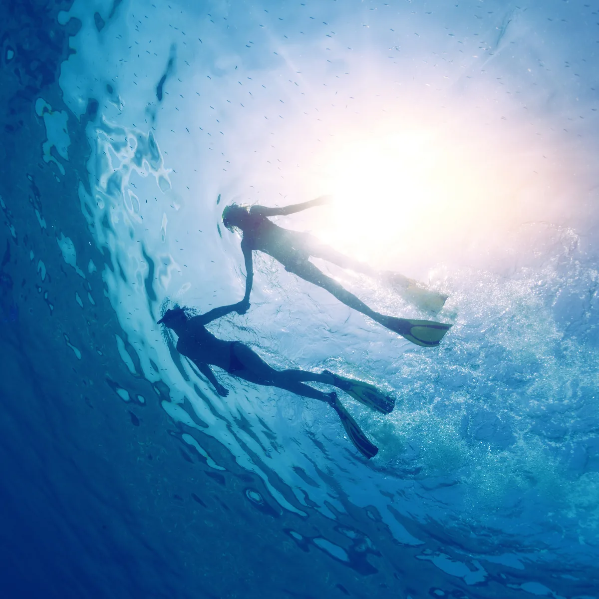 Divers exploring a Boracay reef together