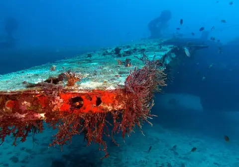 Tribird Wreck dive — Jan 27, 2026