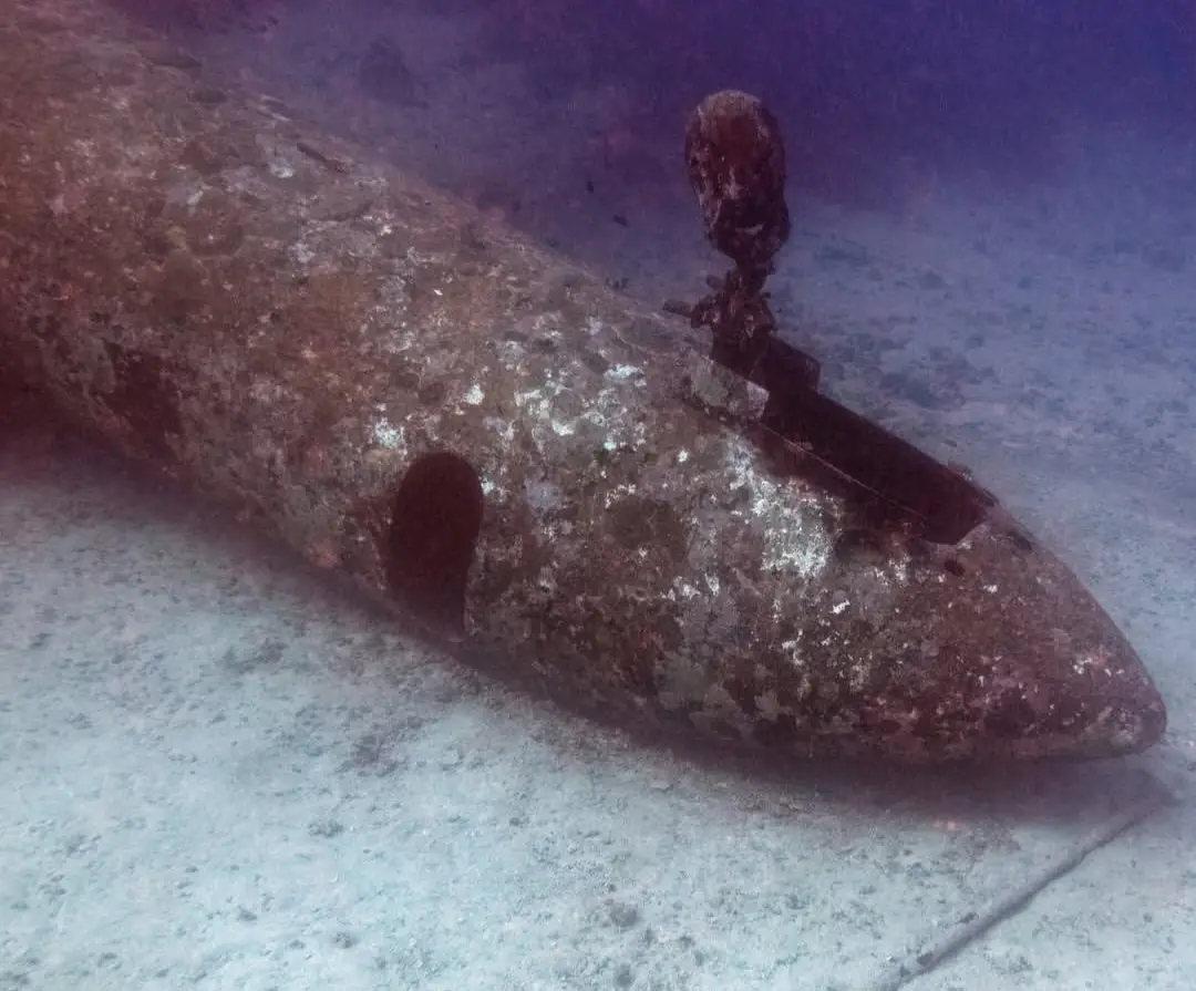 Tribird Wreck dive — Jan 9, 2026