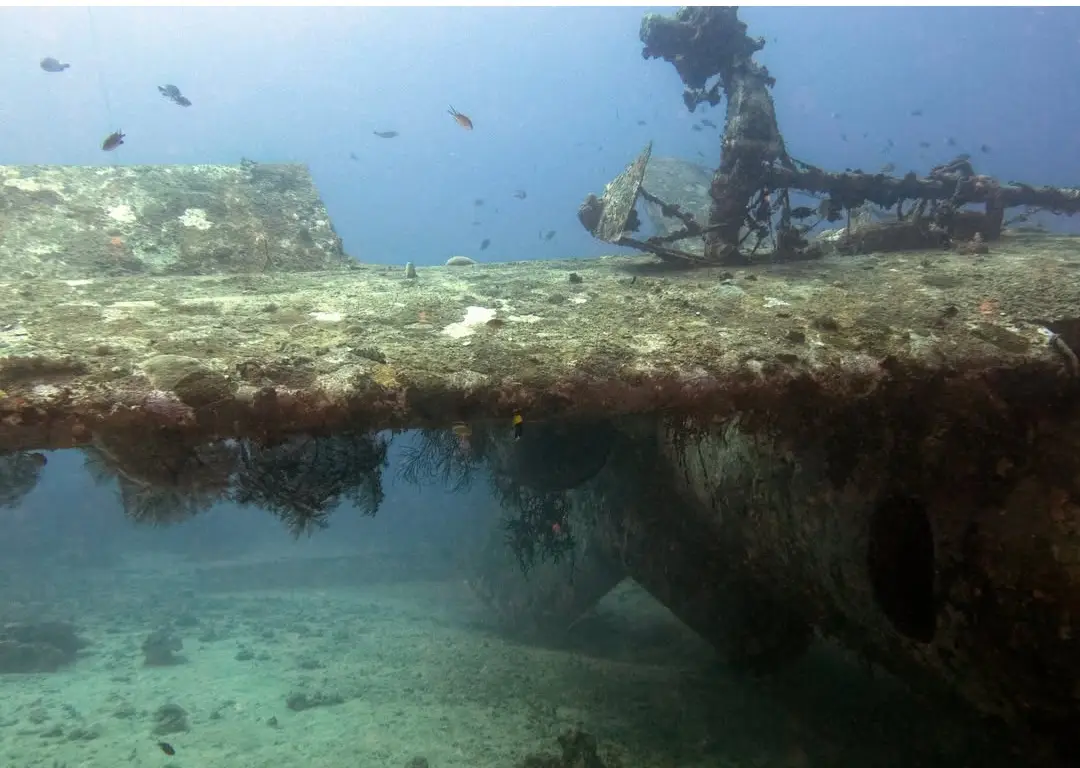 Tribird Wreck dive — Oct 27, 2025
