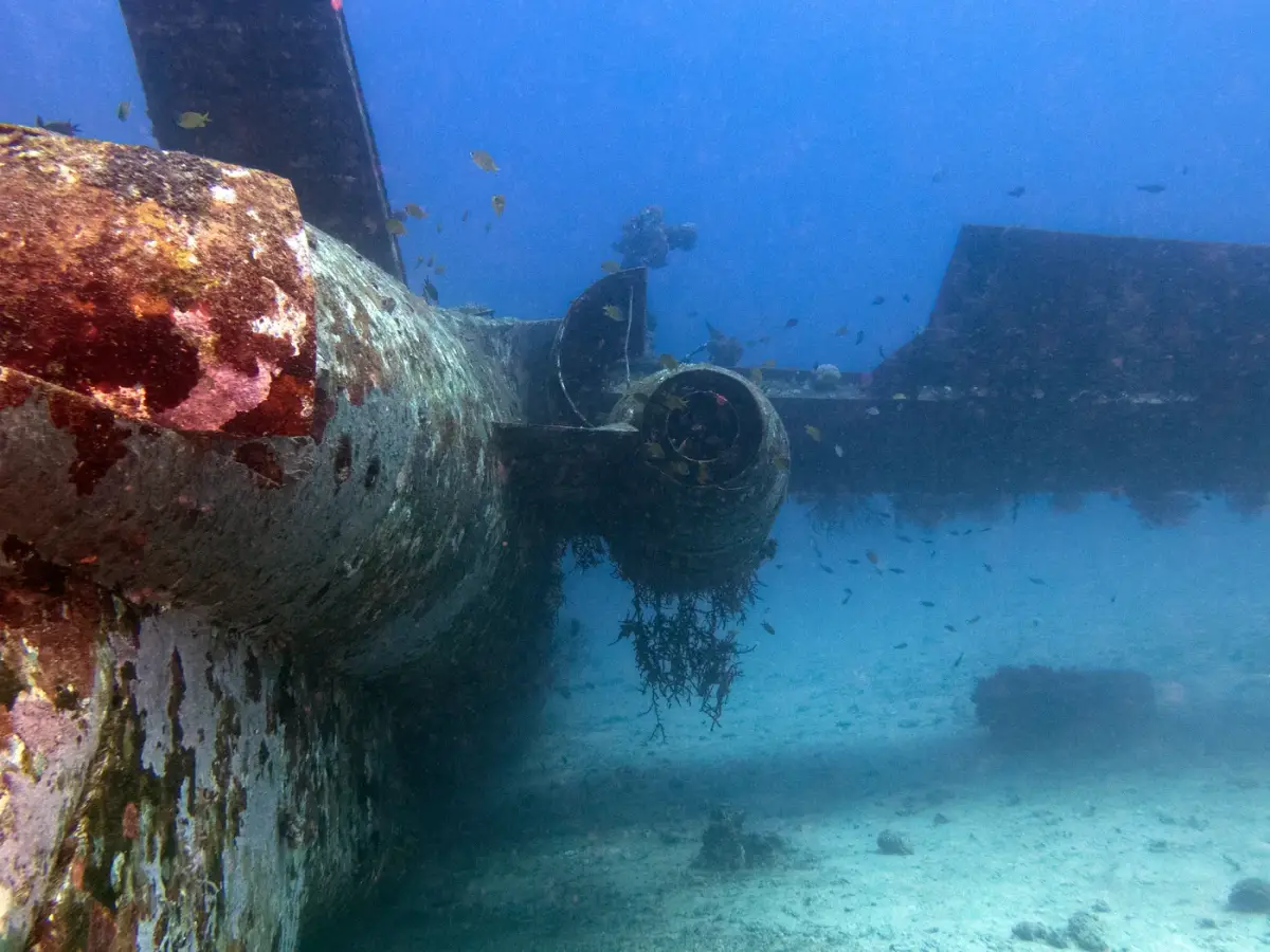 Scuba Diving Boracay: Price Guide | New Wave Divers