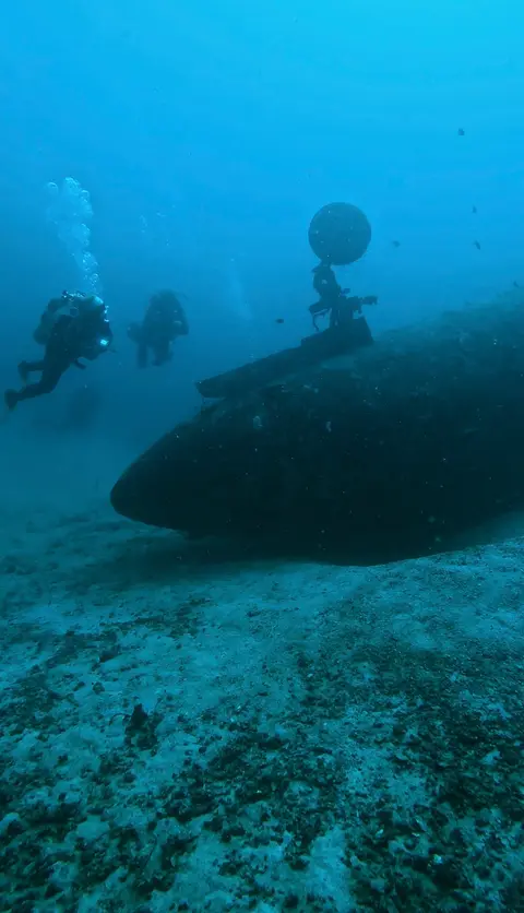 Plongée à Tribird Wreck — Mar 18, 2026