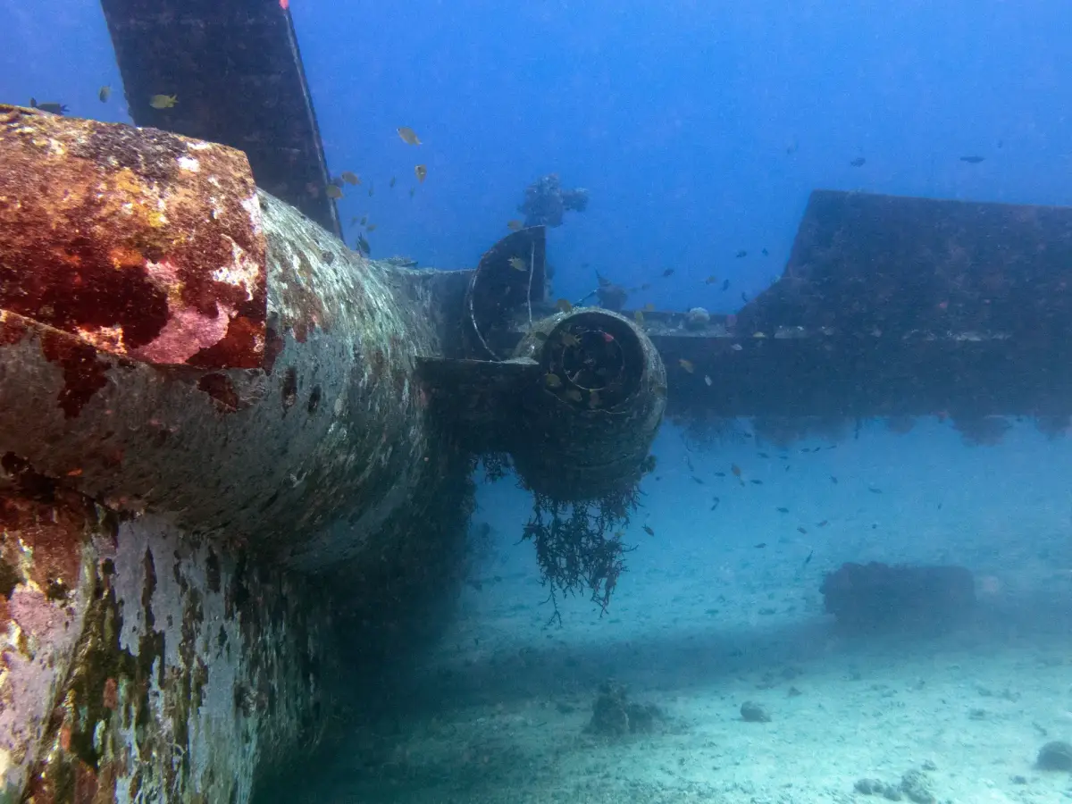 What Makes Boracay a Must-Visit Dive Destination for 2025