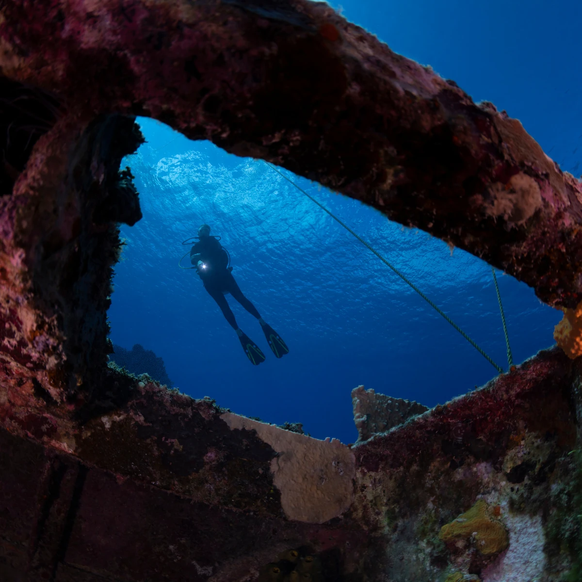 Wreck Diver