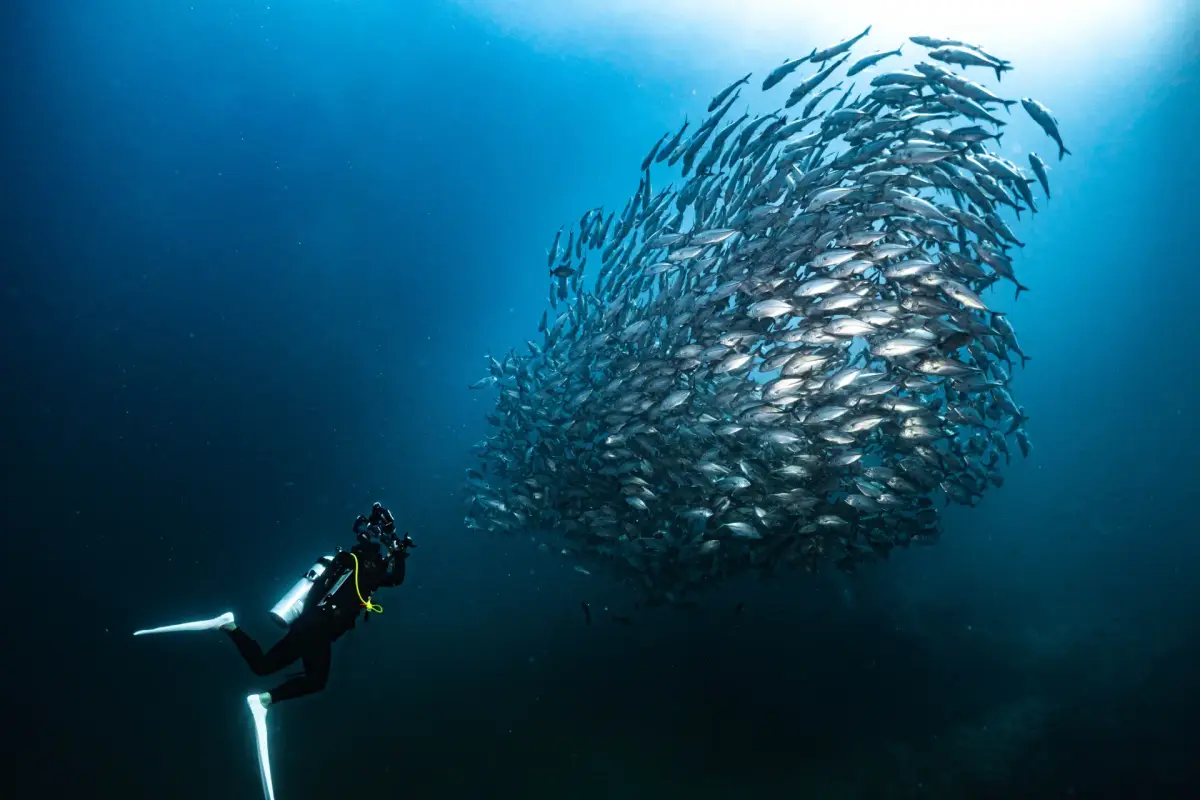 Exploring Yapak: Boracay's Thrilling Deep-Wall Dive