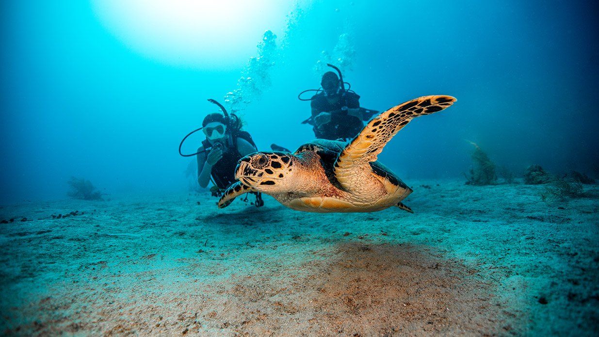 open water training