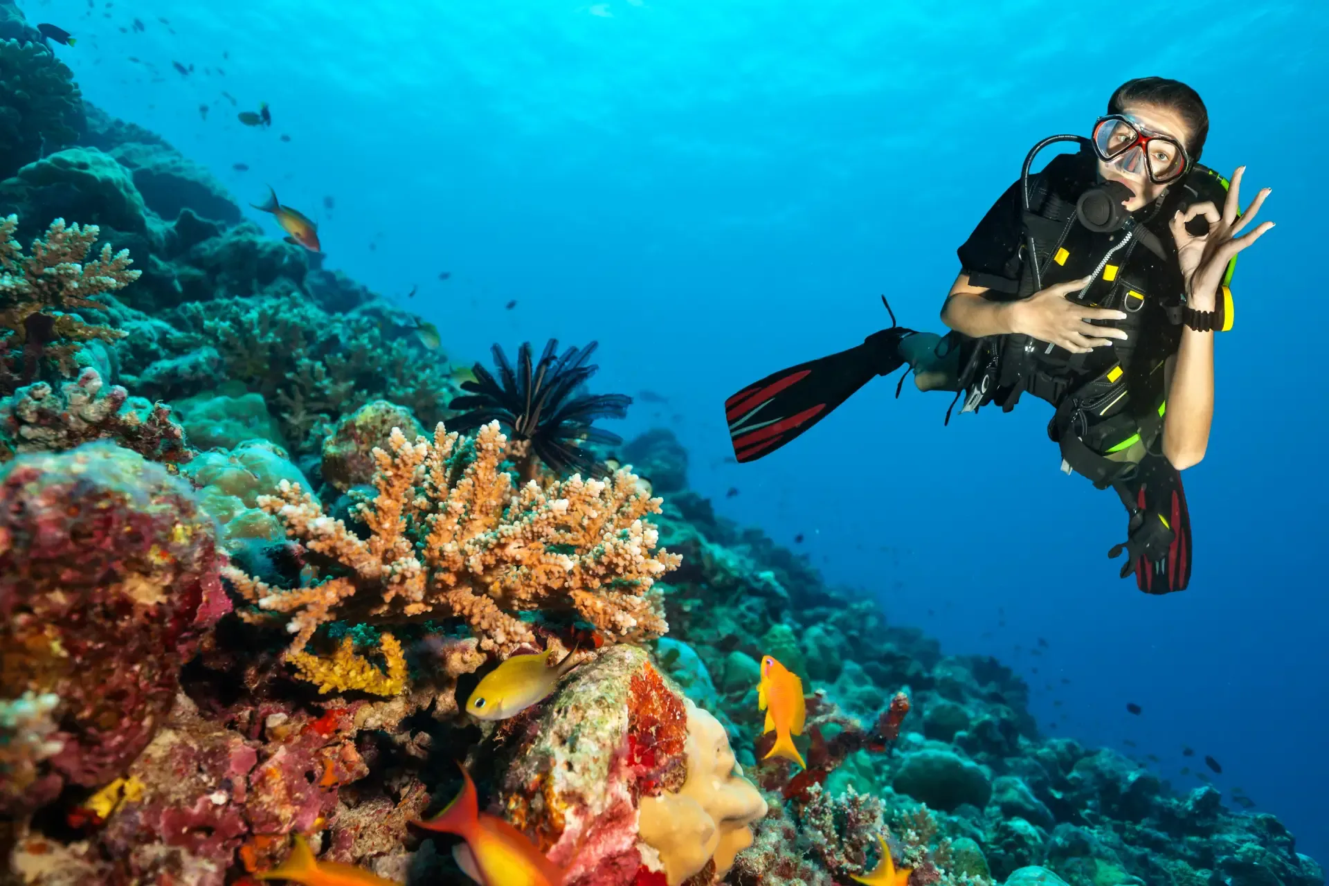 divemaster internship boracay