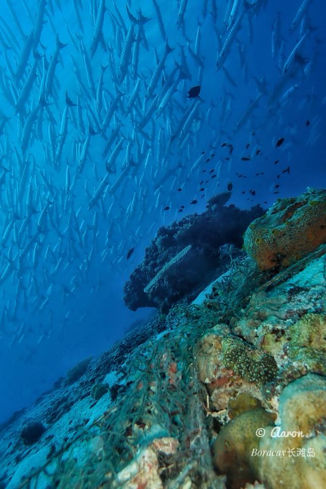 06/25/2024 Dive Log - Diniwid