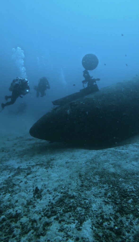 03/18/2026 Dive Log - Tribird