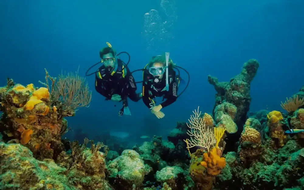 Discover Scuba Diving in Boracay: What Actually Happens on Your First Dive