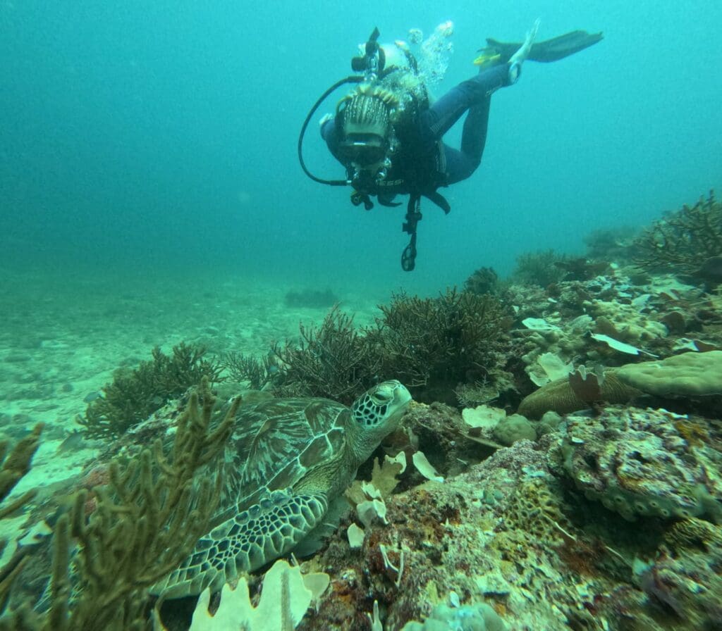 10/16/2024 Dive Log - Diniwid