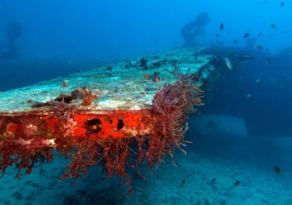 01/27/2026 Dive Log - Tribird Airplane Wreck