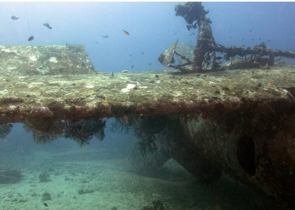 10/27/2025 Dive Log - TriBird airplane wreck
