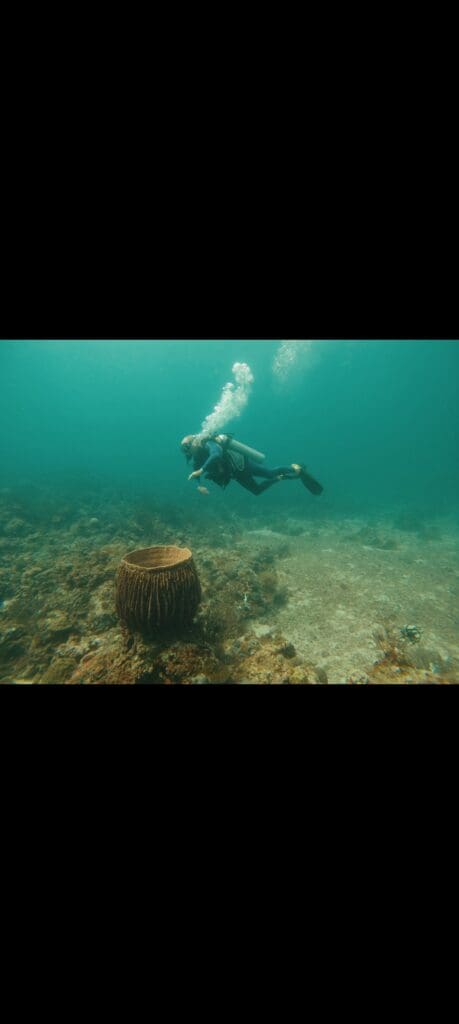 04/06/2025 Dive Log - Fridays Reef