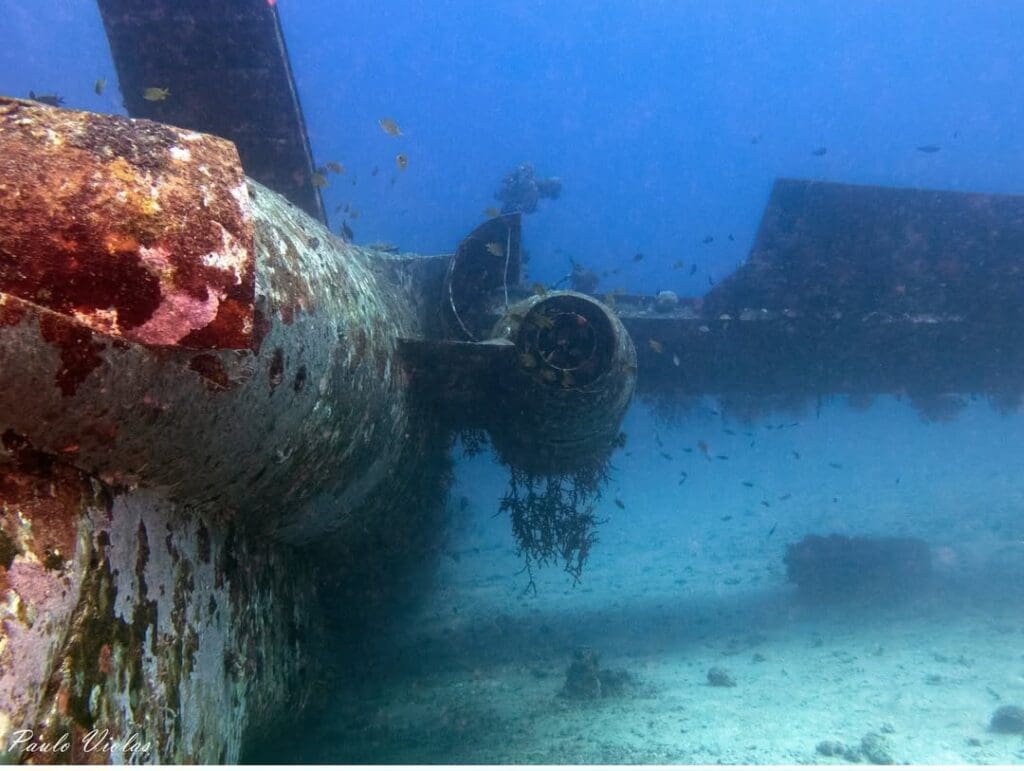 02/12/2025 Dive Log - Tri-Bird Airplane Wreck