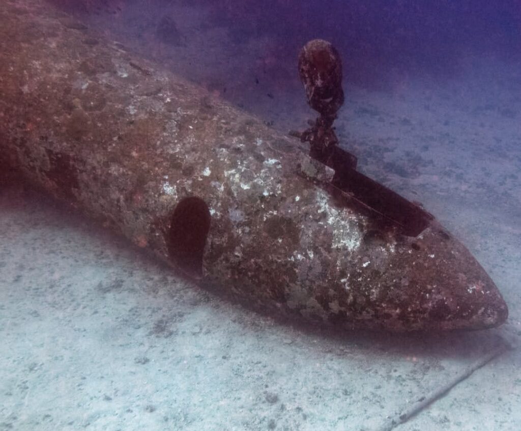 01/10/2026 Dive Log - Tribird Airplane Wreck